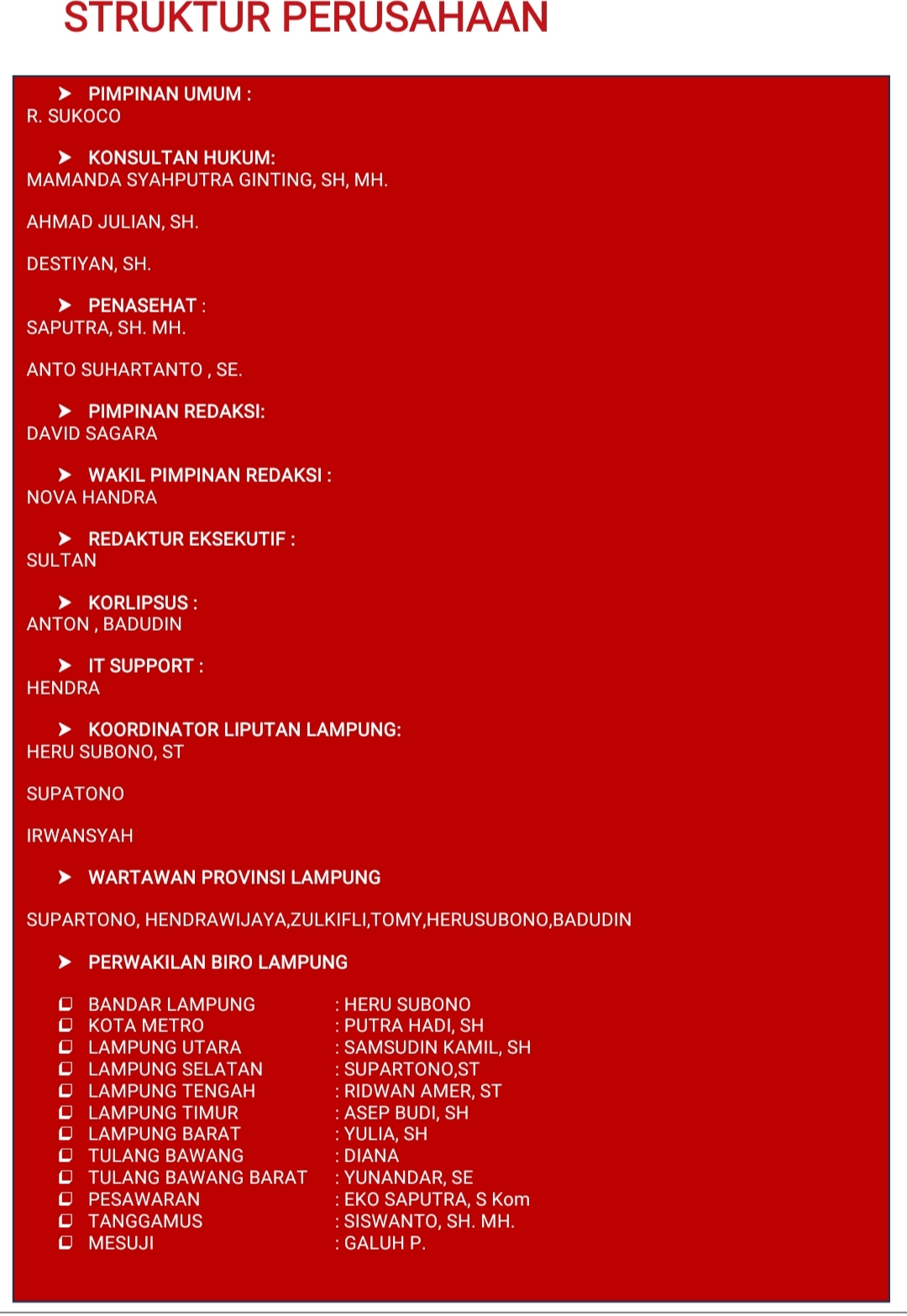 STRUKTUR PERUSAHAAN